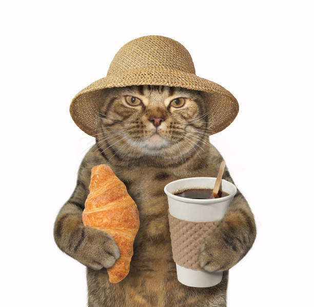 istock Cat with coffeee and croissant 1 691729238
