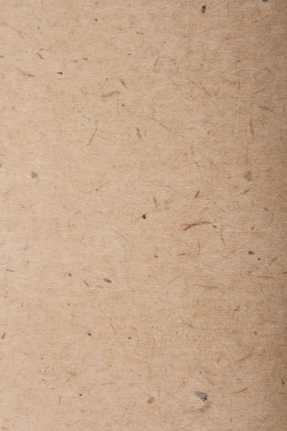 istock Sheet of cardboard as background 691733844