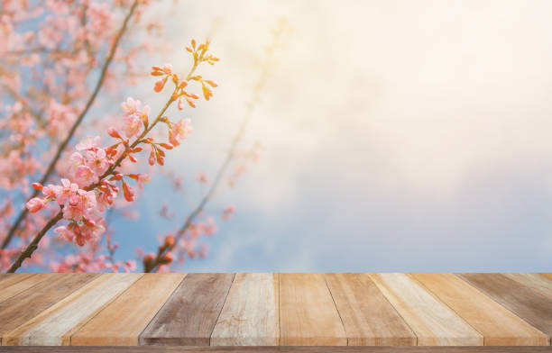 istock Empty wooden table with Sakura flower and sunlight background, use for product display. 691741136