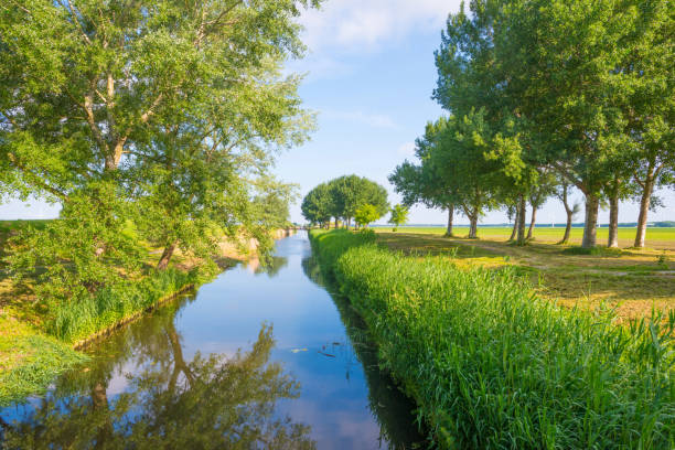 istock Canal through the countryside in spring 691745218