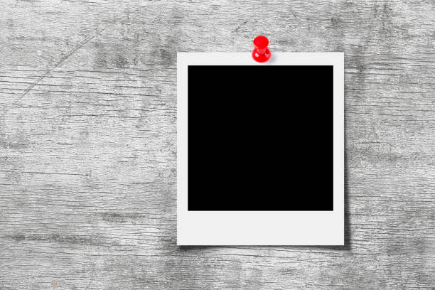 istock Blank photo pinned on the wooden wall 691748242