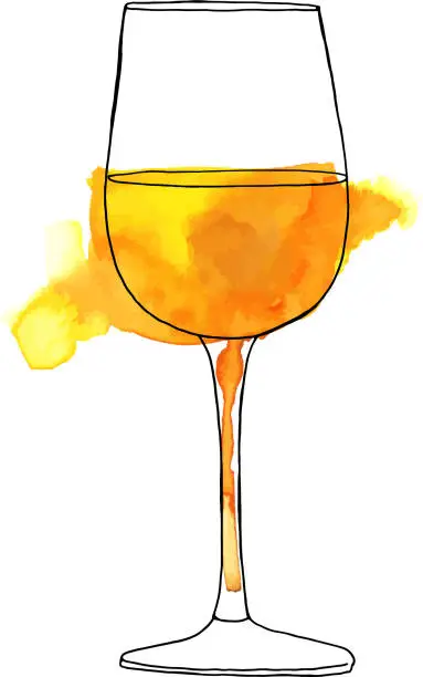Vector illustration of Vector and watercolor drawing of glass of white wine