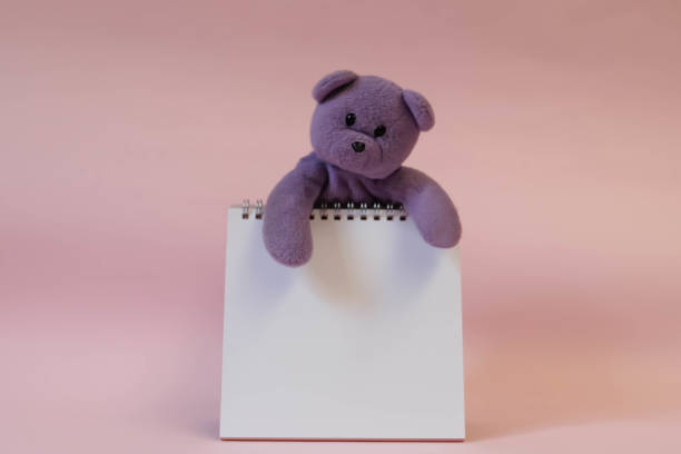 istock calendar empty with purple teddy bear and pink wall 691755102