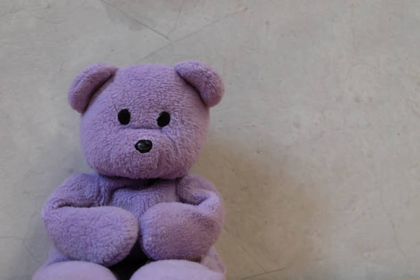 istock Purple teddy bear sitting with vintage wall 691755180