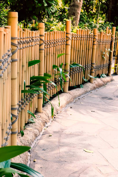 istock Bamboo fence in garden 691761096