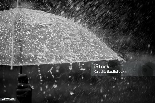 Umbrella In The Rain Stock Photo - Download Image Now - Torrential Rain, Storm, Rain