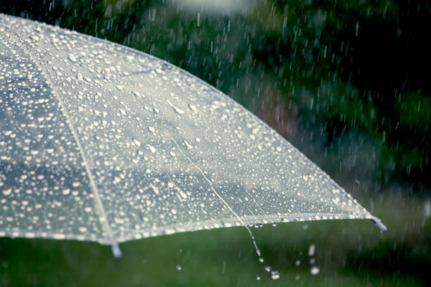 istock Umbrella in the rain 691761622