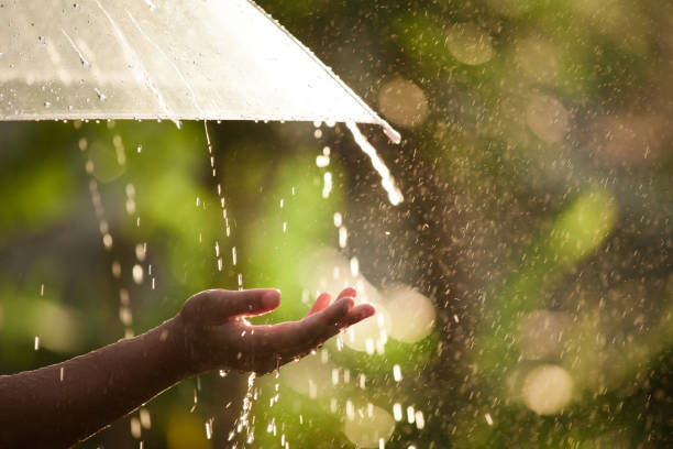 main de femme avec parapluie sous la pluie - water human hand people women photos et images de collection