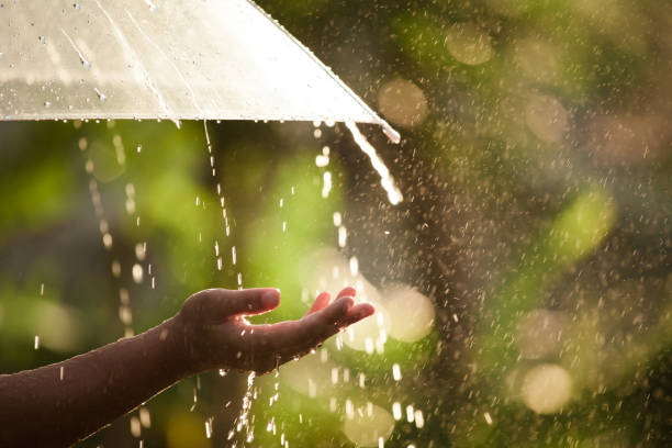 mano donna con ombrello sotto la pioggia - pioggia foto e immagini stock