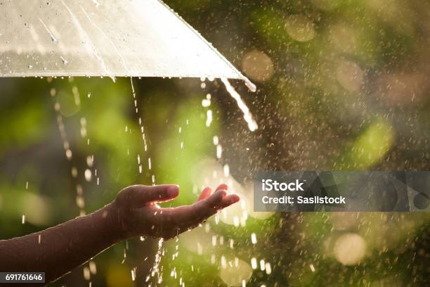 Woman Hand With Umbrella In The Rain Stock Photo - Download Image Now - Rain, Umbrella, Springtime