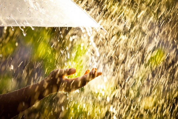 Woman hand with umbrella in the rain stock photo