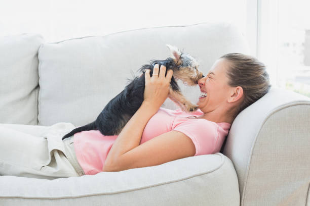 istock Happy woman playing with her yorkshire terrier on the couch 691762292