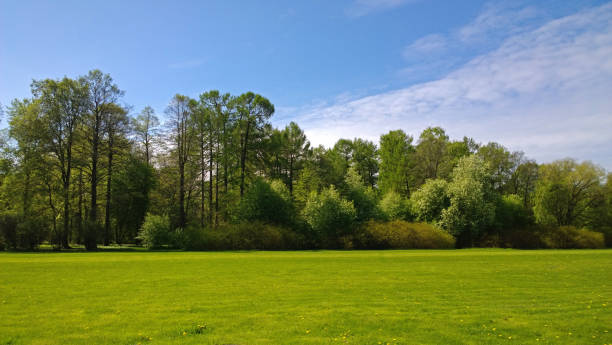 istock Manicured lawn in a neat Park with trees in the background 691765906