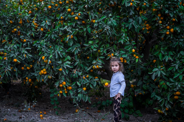 istock kid girl mandarin 691775308