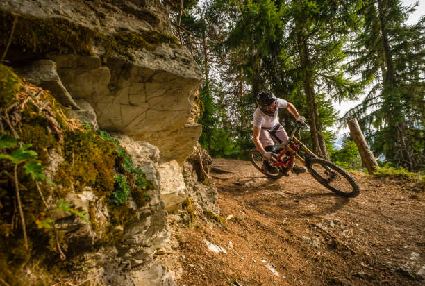 Mountain biker on trail, Swiss alps A mountain biker on a singeltrack trail in woodland in the Verbier region of Switzerland. mountain biking stock pictures, royalty-free photos & images