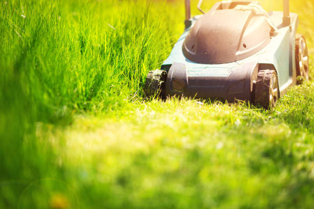 istock Grass cutter mowing the lawn 691779014