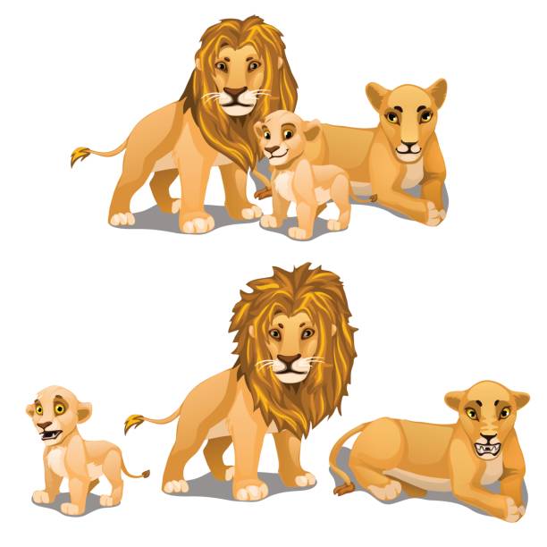 ilustraciones, imágenes clip art, dibujos animados e iconos de stock de familia de leones, madre, padre y bebé. vector de - cachorro de león