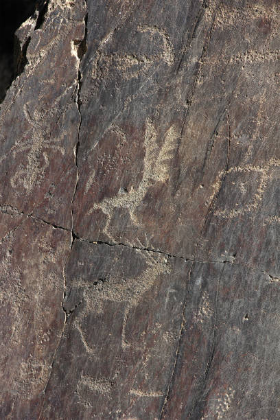 istock ancient rock drawings, deer with high branched horns 691793694