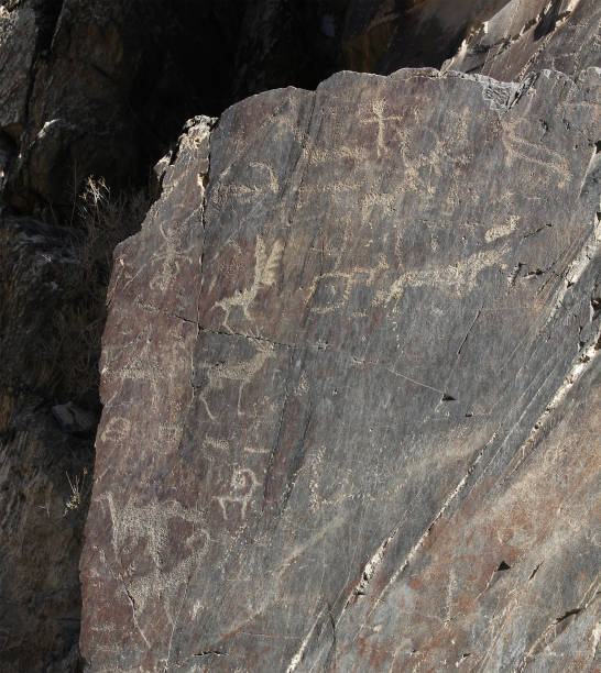 istock ancient rock drawings (petroglyph), deer, dog, bull, buffalo, human, fish 691793762