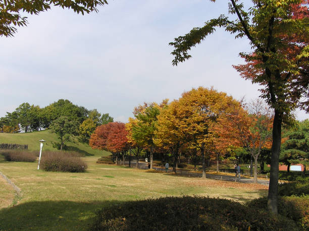 istock Botanical garden, Autumn 691807276