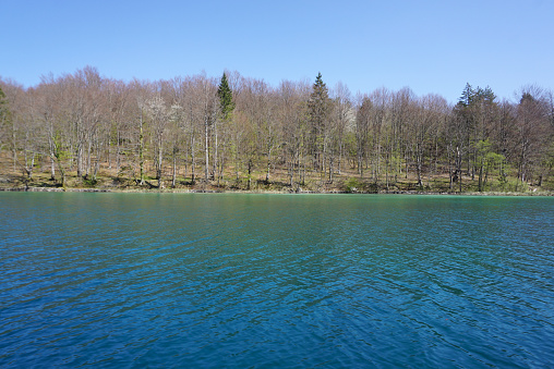 beautiful landscape along the way in Plitvice lake national park , Croatia in april
