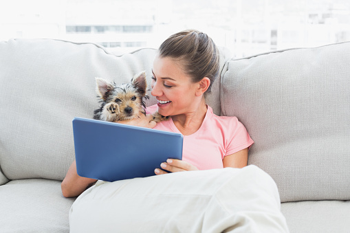 Cheerful woman using tablet with her yorkshire terrier at home in the living room