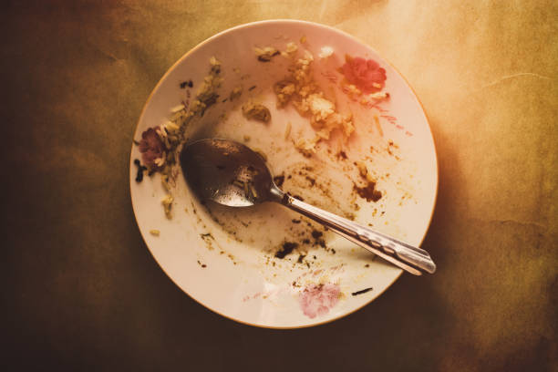 istock food plate dirty 691822312