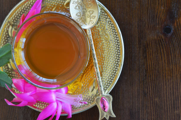 istock Teacup and Christmas cactus 691822570