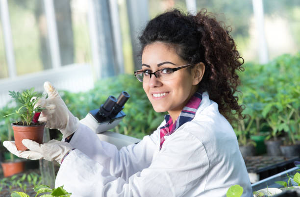 istock Biologist with sprouts and lab equipment 691833232