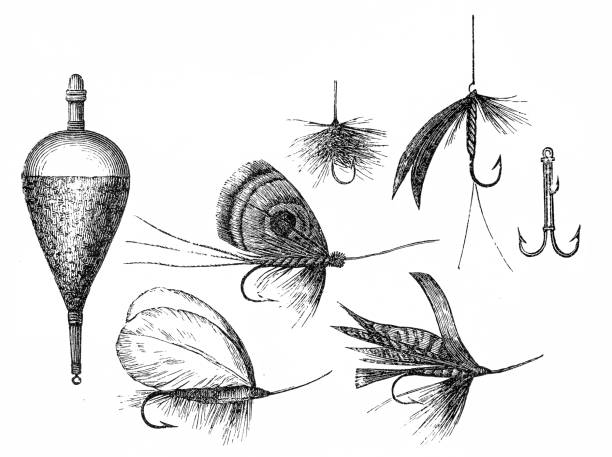 ilustraciones, imágenes clip art, dibujos animados e iconos de stock de set de señuelos artificiales de pesca - pesca con mosca ilustraciones