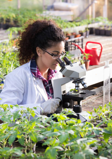 istock Biologist looking in microscope in greenhouse 691835848