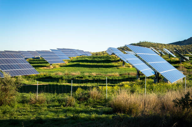 Field Of Solar Panels In A Rural Setting in Andalusia, Spain stock photo