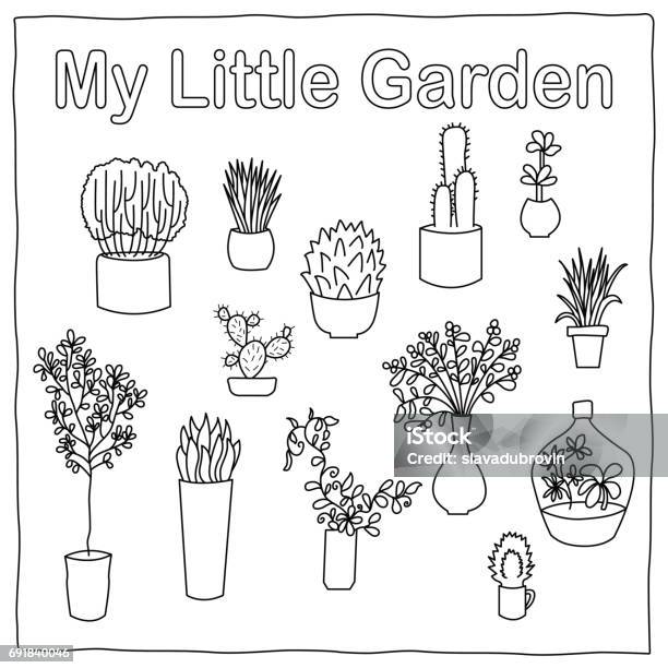 My Little Garden Botanical Vector Illustration Small Cactus And Succulent Outlined Images Isolated On Whit Stock Illustration - Download Image Now