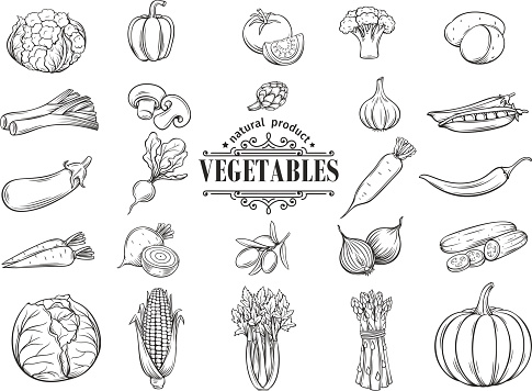 Vector hand drawn vegetables icons set. Decorative retro style collection farm product restaurant menu, market label.