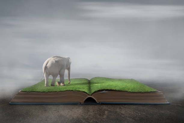 Elephant on book mystery concept.