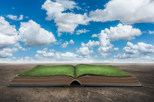 Big old book on field.