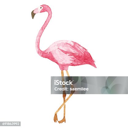 istock Watercolor Flamingo 691863992