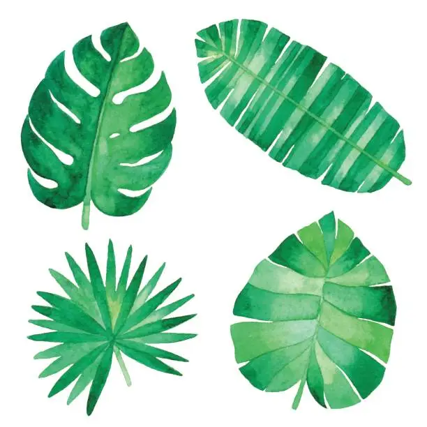Vector illustration of Watercolor Tropical Leaves
