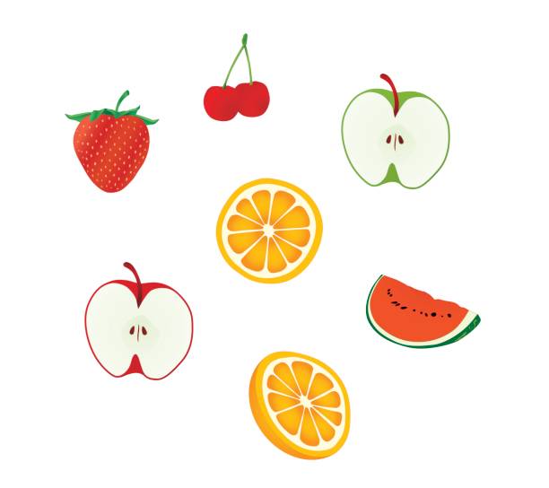 Fruits vector art illustration
