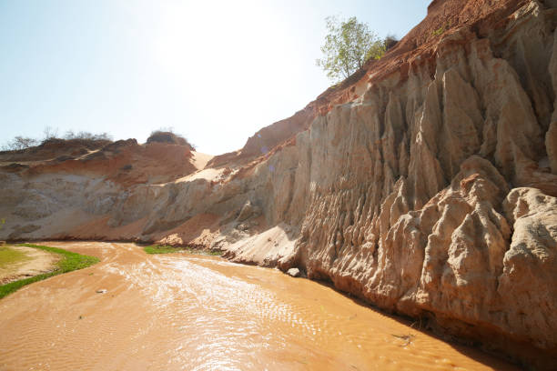 Fairy stream in VietnamFairy stream in Vietnam