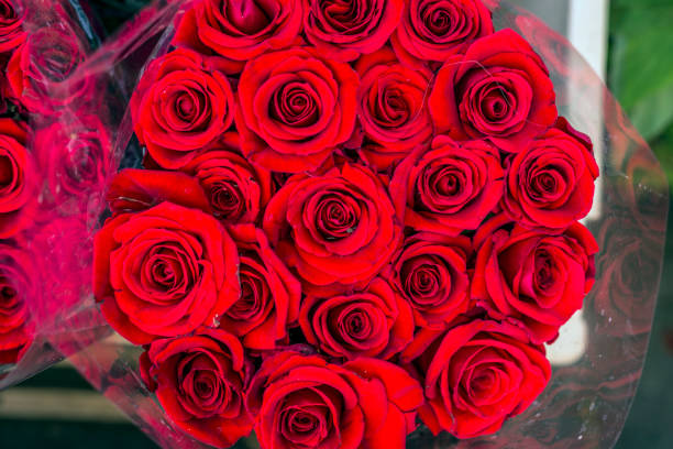 istock Fresh red roses background for Valentine 691870874