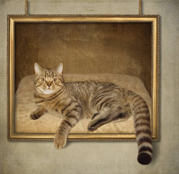 istock Cat goes out of frame 691872784