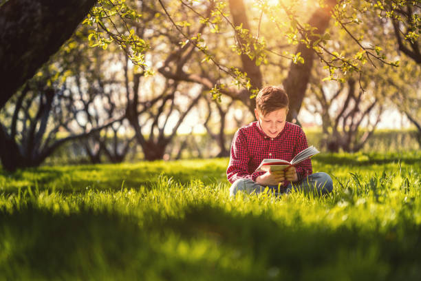 istock Cute boy reading a book sitting in the park at sunset 691878672