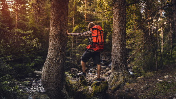 istock Backpacker trail hiking alone in the forest at sunset 691878714