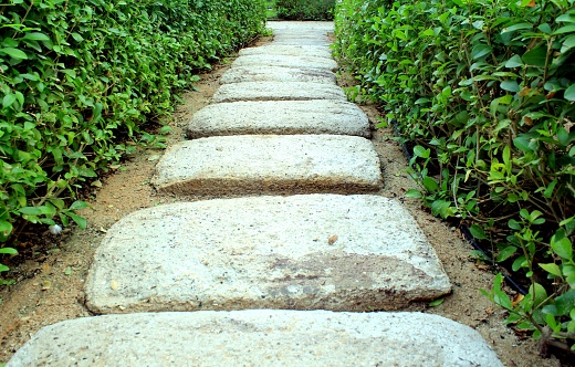 A trail of stones and green grasses footpath. This is closeup view of a hiking trail