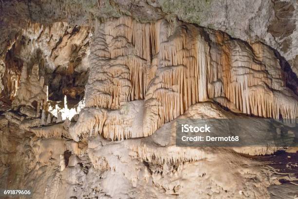 Detail Of Various Stalactites In The Cave Stock Photo - Download Image Now - Cave, Ljubljana, Adventure