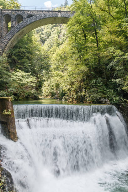 istock Floating waterfall in the middle of forest 691881798