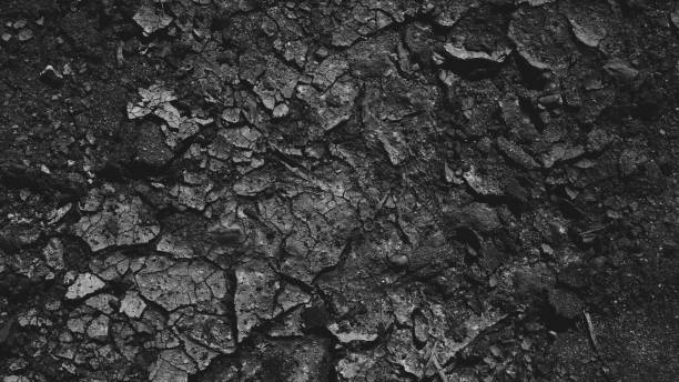 istock Pure environmental textured pattern in neutral color overhead shot 691885642