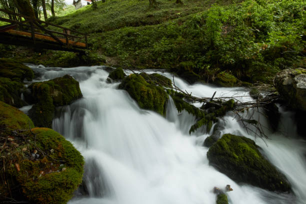 istock fast flowing rivers in the forests of Montenegro 691886082