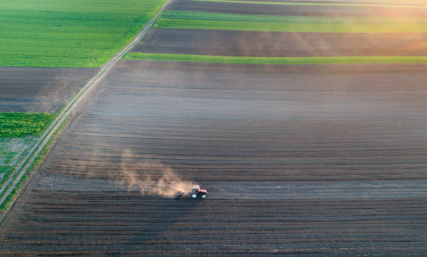 istock Aerial view of tractor in field 691895680